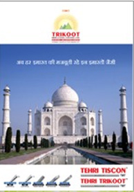 TMT Brochure