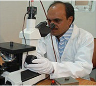 Microscopic Testing